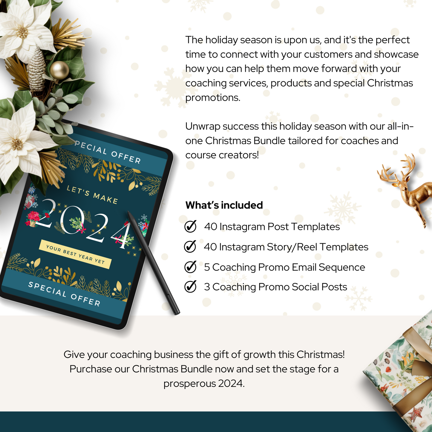 Festive Christmas Promo Kit