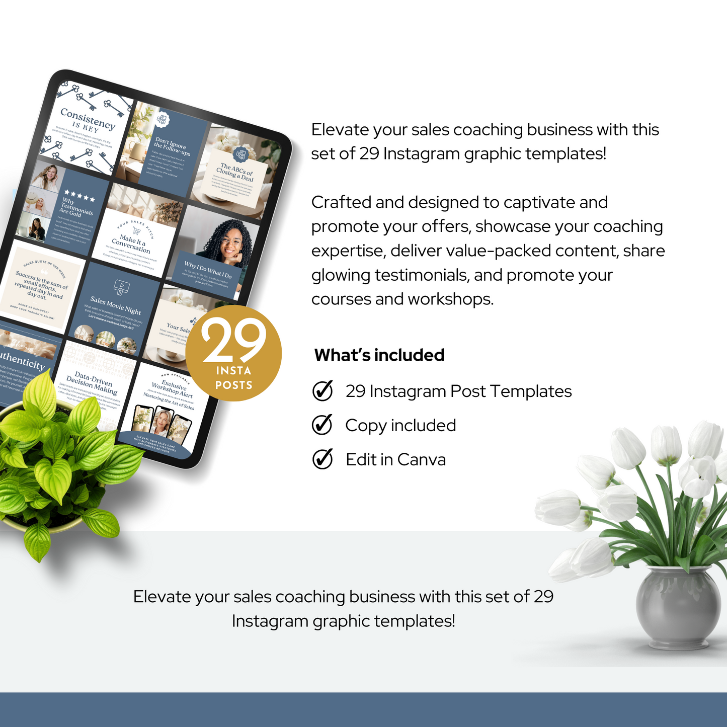Sales Coach Instagram Templates