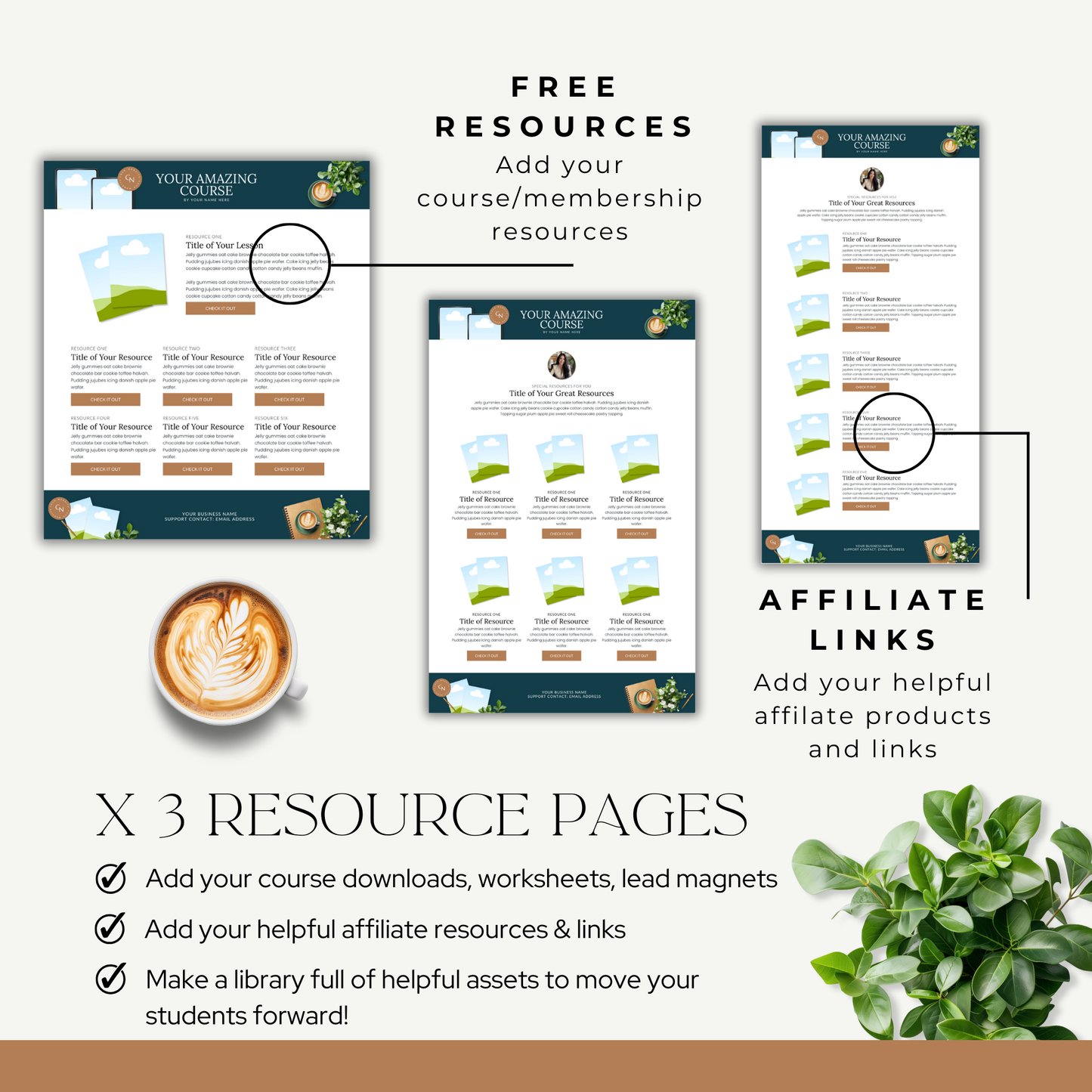 Systeme.io Course Portal Template